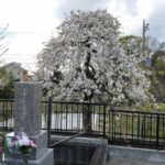 妙傳寺｜茅ヶ崎市の歴史ある日蓮宗のお寺の屋外納骨堂の写真6