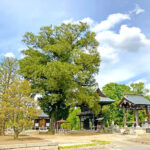 壬生樹木葬墓地  第2期 永照山 歓喜院｜栃木県下都賀郡 ご家族ごとに入れる樹木葬のサムネイル写真7