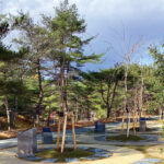 仙台葛岡樹木葬 フォレストガーデン｜仙台市 多彩なプランの樹木葬 滝や桜の花々に癒されるのサムネイル写真2