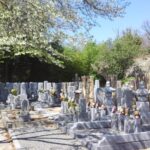 桜寺墓所 宝見墓苑｜宝塚市 多彩なプランの永代供養墓と、桜が咲き誇る樹木葬の写真1