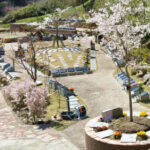 松島樹木葬｜宮城郡松島町 日本三景松島にある樹木葬のお墓 ペットと一緒にのサムネイル写真2