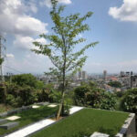 桜寺墓所 宝見墓苑｜宝塚市 多彩なプランの永代供養墓と、桜が咲き誇る樹木葬のサムネイル写真7