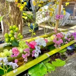 常清寺｜熊本市南区 個別墓から樹木葬、合祀墓まで 豊富な永代供養墓のサムネイル写真14