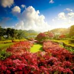 林鴬山 憶西院 超覚寺｜広島市中区の永代供養のサムネイル写真2