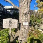 湘南江ノ島樹木葬プラチナヒルズ｜藤沢市 安らぎ霊園内の樹木葬のサムネイル写真8