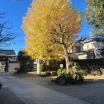 湘南江ノ島樹木葬プラチナヒルズ｜藤沢市 安らぎ霊園内の樹木葬のサムネイル写真9