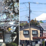 湘南江ノ島樹木葬プラチナヒルズ｜藤沢市 安らぎ霊園内の樹木葬のサムネイル写真12