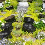 ロイヤル谷中えにし樹木葬墓地｜台東区 個別で入れる樹木葬のサムネイル写真3