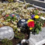 プレミアム横浜磯子の杜樹木葬墓地｜横浜市磯子区 明るい雰囲気のフラワー樹木葬のサムネイル写真3