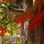 国宝三重塔 大法寺｜小県郡青木村 日本一の美しさと称えられる塔を臨む樹木葬のサムネイル写真6