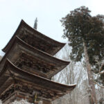 国宝三重塔 大法寺｜小県郡青木村 日本一の美しさと称えられる塔を臨む樹木葬のサムネイル写真5