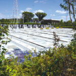 第三期白岡霊園｜白岡市 新しいタイプの樹木葬 こもれび墓苑のサムネイル写真3