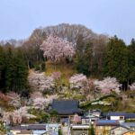 法蔵寺｜田村郡三春町 温かみのある木造建築の本格的な納骨堂 豊かな自然のサムネイル写真7