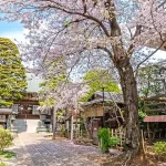 徳蔵寺｜東村山市 2025年5月オープン！樹木葬や屋外納骨堂、多彩な永代供養墓のサムネイル写真10