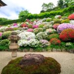 法蔵寺｜田村郡三春町 温かみのある木造建築の本格的な納骨堂 豊かな自然のサムネイル写真8