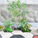 熱海 湯河原 潮音寺アルヴェアージュ｜熱海市 ペットと眠れる樹木葬の写真1