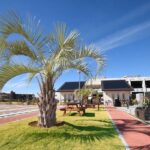 聖地霊園 未来｜朝霞市 全区画永代供養付き・ペットと入れるの写真1