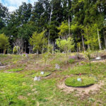 浄光寺｜石川郡石川町 個別・合祀の永代供養墓とお好きな樹木を選べる樹木葬の写真1
