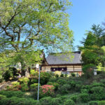 浄光寺｜石川郡石川町 個別・合祀の永代供養墓とお好きな樹木を選べる樹木葬のサムネイル写真7