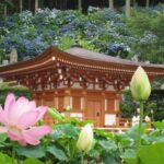 法蔵寺｜田村郡三春町 温かみのある木造建築の本格的な納骨堂 豊かな自然の写真1