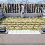 東光院｜東松山市 高坂駅から徒歩10分！ 多彩な永代供養墓・樹木葬 ペットOKのサムネイル写真4