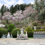 浄光寺｜石川郡石川町 個別・合祀の永代供養墓とお好きな樹木を選べる樹木葬のサムネイル写真3