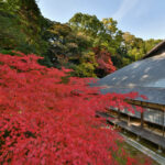 津市永代供養墓霊園 四天王寺｜津市 マンションタイプの屋外納骨堂・花いっぱいの樹木葬のサムネイル写真6