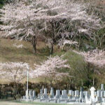 中京ロイヤルメモリアルパーク｜いなべ市 個別墓・合同墓から選べる永代供養墓のサムネイル写真2