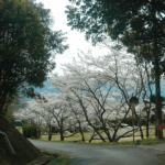 龍光山 玉泉寺｜津市 手頃な価格でお寺に永代供養を任せられる 合祀・個別安置のサムネイル写真6