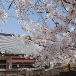 信光寺 永代供養塔｜四日市市 お墓を守り続けることが難しい現代に応える永代供養塔のサムネイル写真5