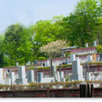 やすらぎの里｜滑川町 豊かな自然の中の永代供養墓の写真1