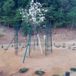 青山メモリアルパーク｜津市 手頃な価格の永代供養墓＆土に還る樹木葬 ペット供養ものサムネイル写真2