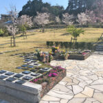 桜葬墓園｜四日市市 桜に囲まれて四季折々の自然の中で眠る樹木葬 ペットも一緒にのサムネイル写真2