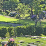 桜葬墓園｜四日市市 桜に囲まれて四季折々の自然の中で眠る樹木葬 ペットも一緒にのサムネイル写真4