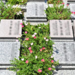 佛眼寺｜津市 大切な家族、ペットといつまでも一緒の完全個別型永代供養墓・樹木葬の写真1