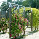 桑名メモリアルパーク｜桑名市 おひとり様から最大8霊まで多彩な樹木葬のサムネイル写真7