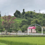 桜葬墓園｜四日市市 桜に囲まれて四季折々の自然の中で眠る樹木葬 ペットも一緒にのサムネイル写真8