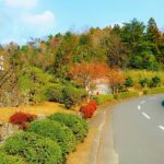 比叡山延暦寺大霊園｜大津市 多彩な永代供養墓をそろえた、12,000区画の由緒ある大型霊園のサムネイル写真9