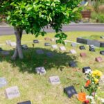 牧之原富士見霊苑｜牧之原市 豊かな自然に囲まれた大型公園墓地の写真1