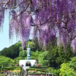 藤枝霊園｜藤枝市 花に包まれた公園墓地のサムネイル写真8