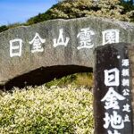 熱海日金山霊園｜熱海市 四季の変化が美しい霊園のサムネイル写真7
