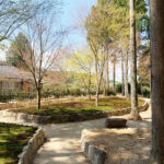 櫟野寺 樹木葬「櫟苑」｜甲賀市 杉とモミジの木立の中にある、杉苔に覆われた樹木葬墓苑のサムネイル写真4