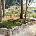 櫟野寺 樹木葬「櫟苑」｜甲賀市 杉とモミジの木立の中にある、杉苔に覆われた樹木葬墓苑のサムネイル写真5