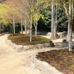 櫟野寺 樹木葬「櫟苑」｜甲賀市 杉とモミジの木立の中にある、杉苔に覆われた樹木葬墓苑のサムネイル写真3