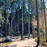 櫟野寺 樹木葬「櫟苑」｜甲賀市 杉とモミジの木立の中にある、杉苔に覆われた樹木葬墓苑のサムネイル写真7