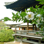 真言宗大本山 隨心院｜京都市山科区 小野小町ゆかりのお寺の雅な納骨堂のサムネイル写真5