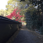 真言宗大本山 隨心院｜京都市山科区 小野小町ゆかりのお寺の雅な納骨堂のサムネイル写真6