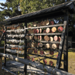 真言宗大本山 隨心院｜京都市山科区 小野小町ゆかりのお寺の雅な納骨堂のサムネイル写真3
